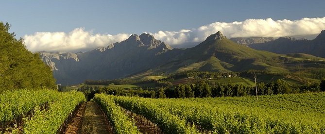 Wine Equity research